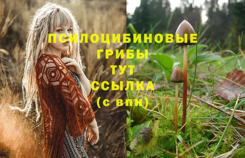 МЕГА   наркошоп  Бологое  Галлюциногенные грибы Magic Shrooms 